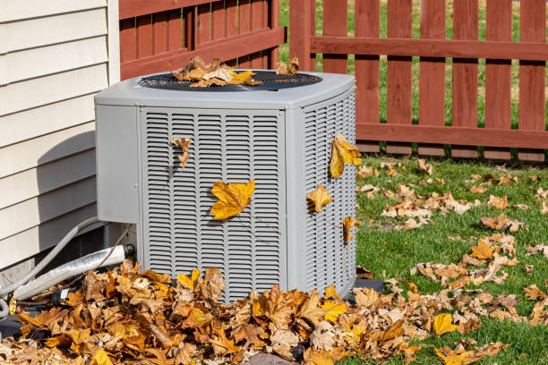 Best Local HVAC Companies  in Quincy, FL